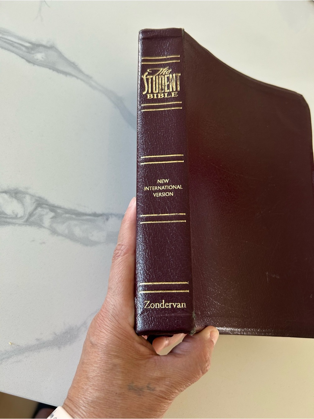 The Student Bible - New International Version Leather Hardcover (Zondervan)
